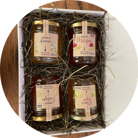 agdo_miele_2025_circle