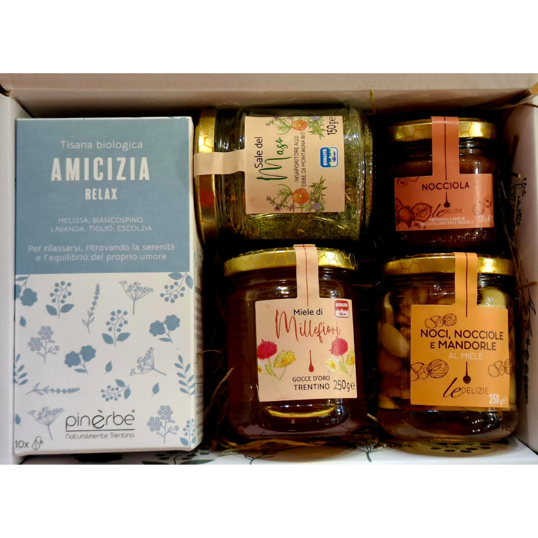 agdo_amicizia_2025_square