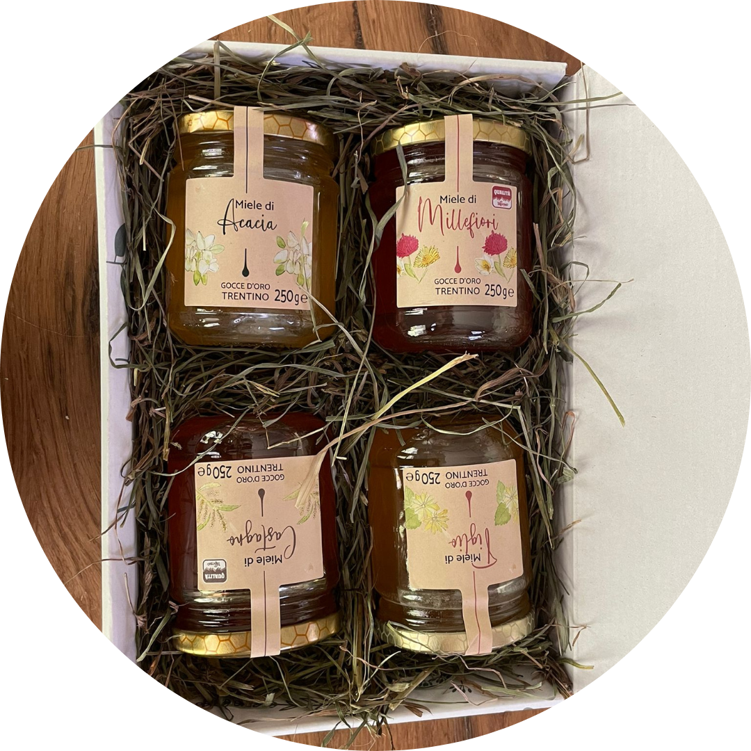 agdo_miele_2025_circle